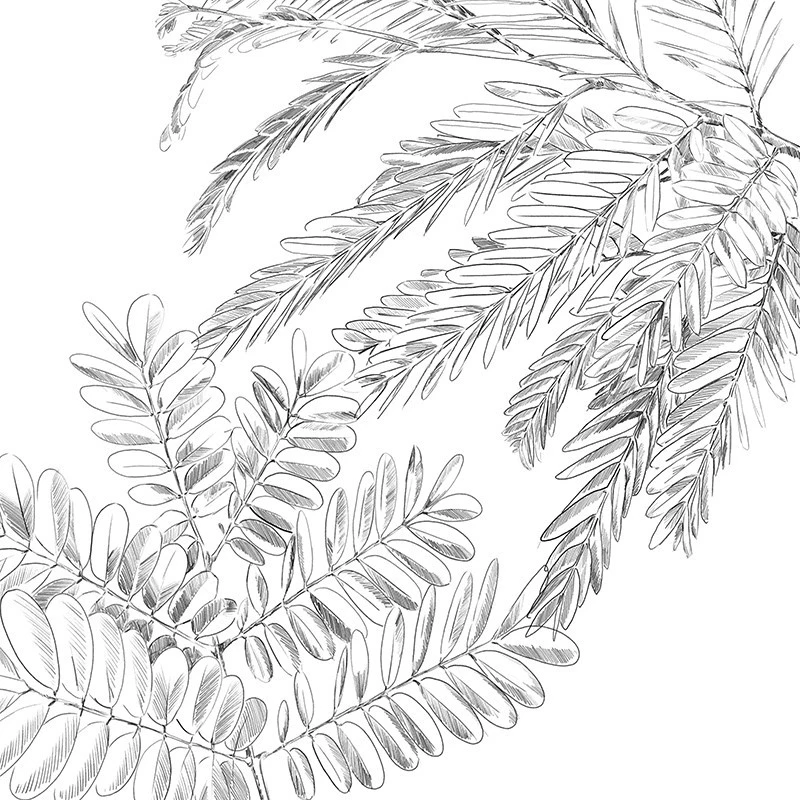 Parure De Lit Monstera Blanc Et Vert 240x220 Atmosphera 5 Parure De Lit Monstera Blanc Et Vert 240x220 Atmosphera – Image 5